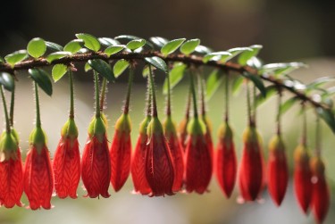 珠海香洲区6私人快速借钱网，轻松解决资金难题